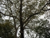 IMG_1886_tn_tn.jpg